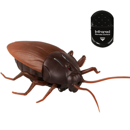 RC Cockroach