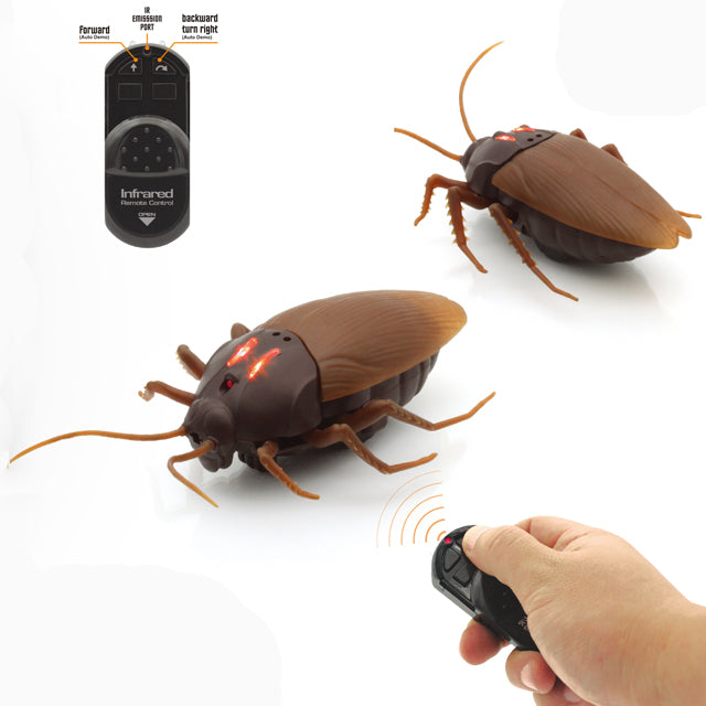 RC Cockroach