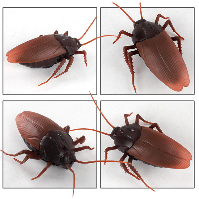 RC Cockroach