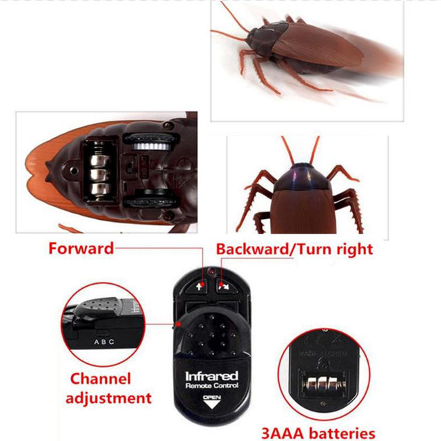 RC Cockroach