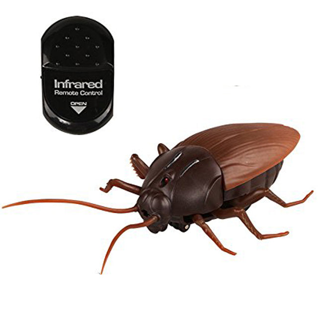 RC Cockroach